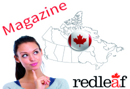 magazine red leaf