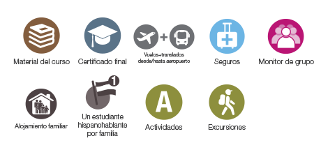 cursos beginners